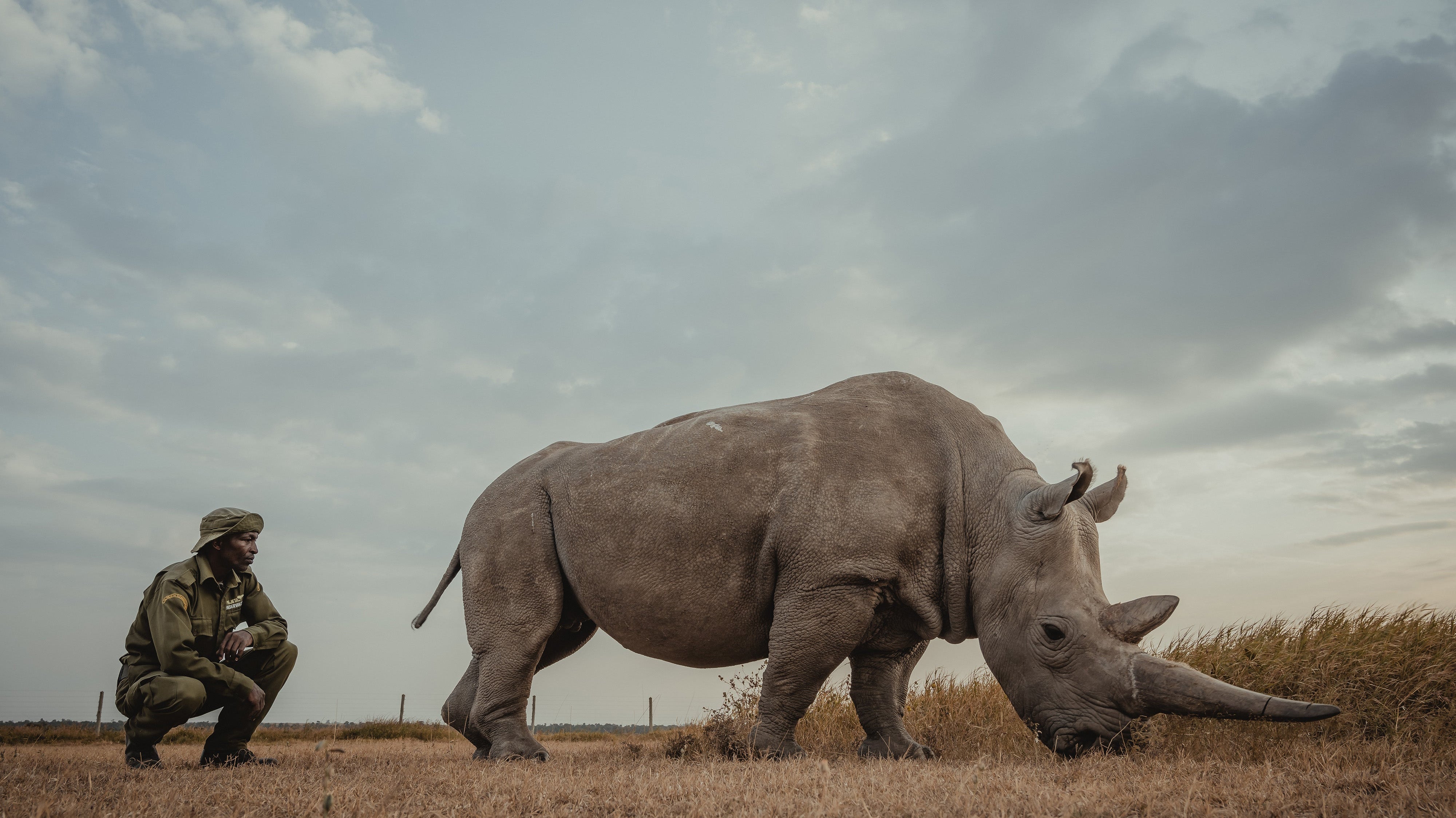 Art-driven wildlife conservation milestone - Tembo Collection donates $15,000 to Ol Pejeta Conservancy for endangered species protection