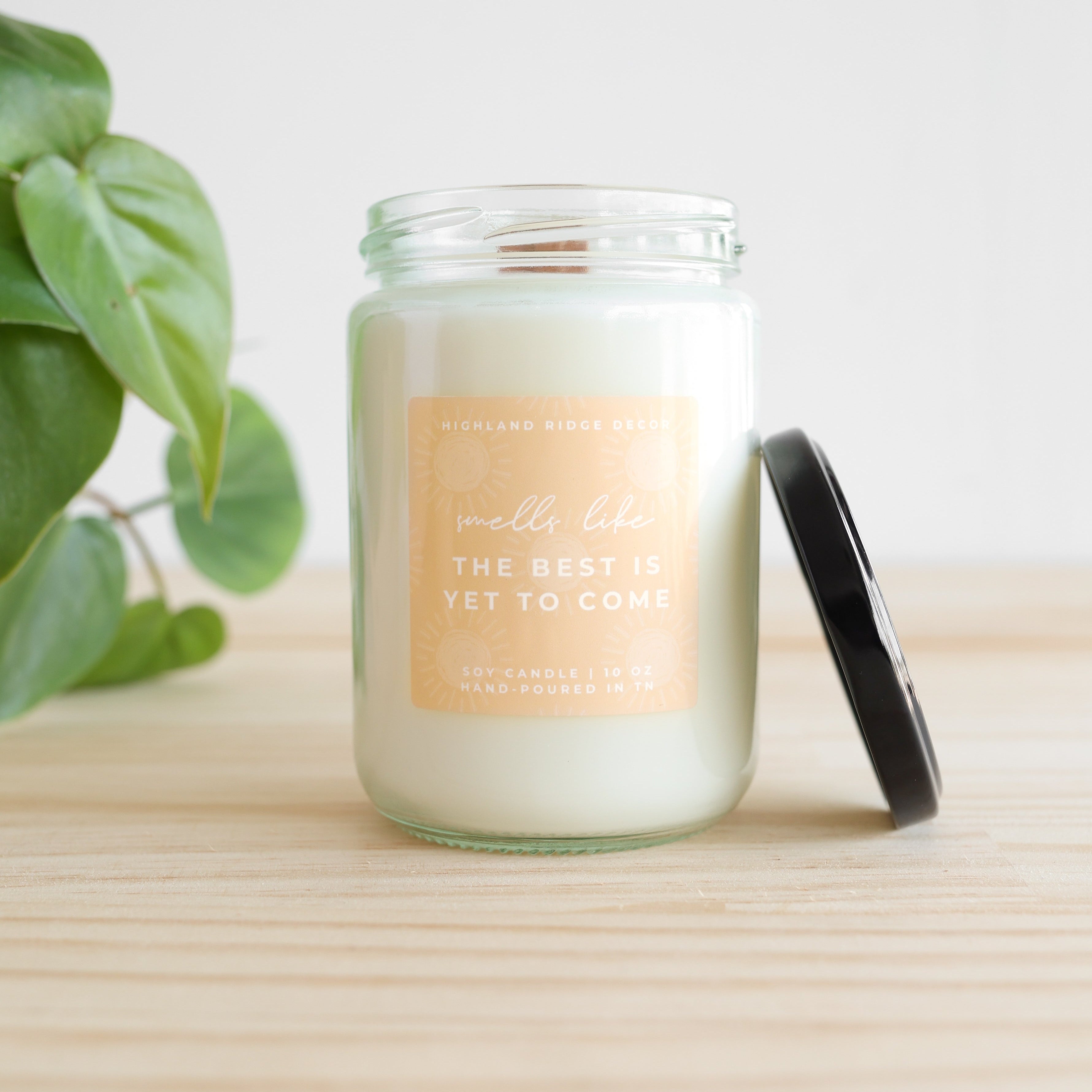 Candle in a glass jar with a black lid on a wooden surface, next to a green leafy plant.