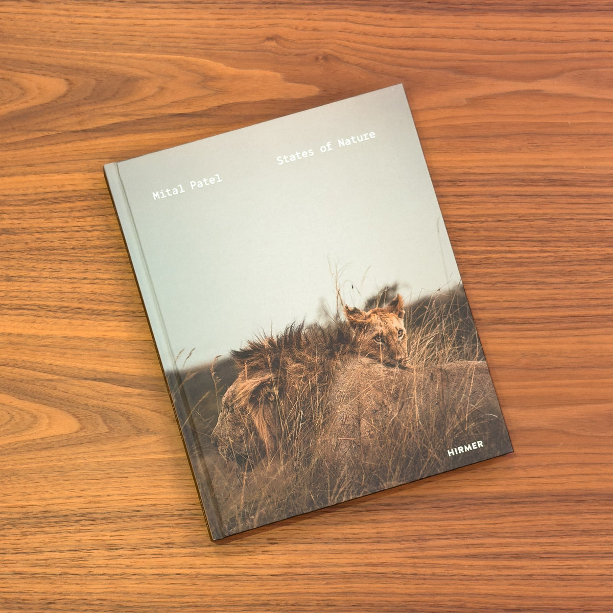 States of Nature by Mital Patel (Hirmer): hardcover with a lion and cub in tall grass under a pale sky
