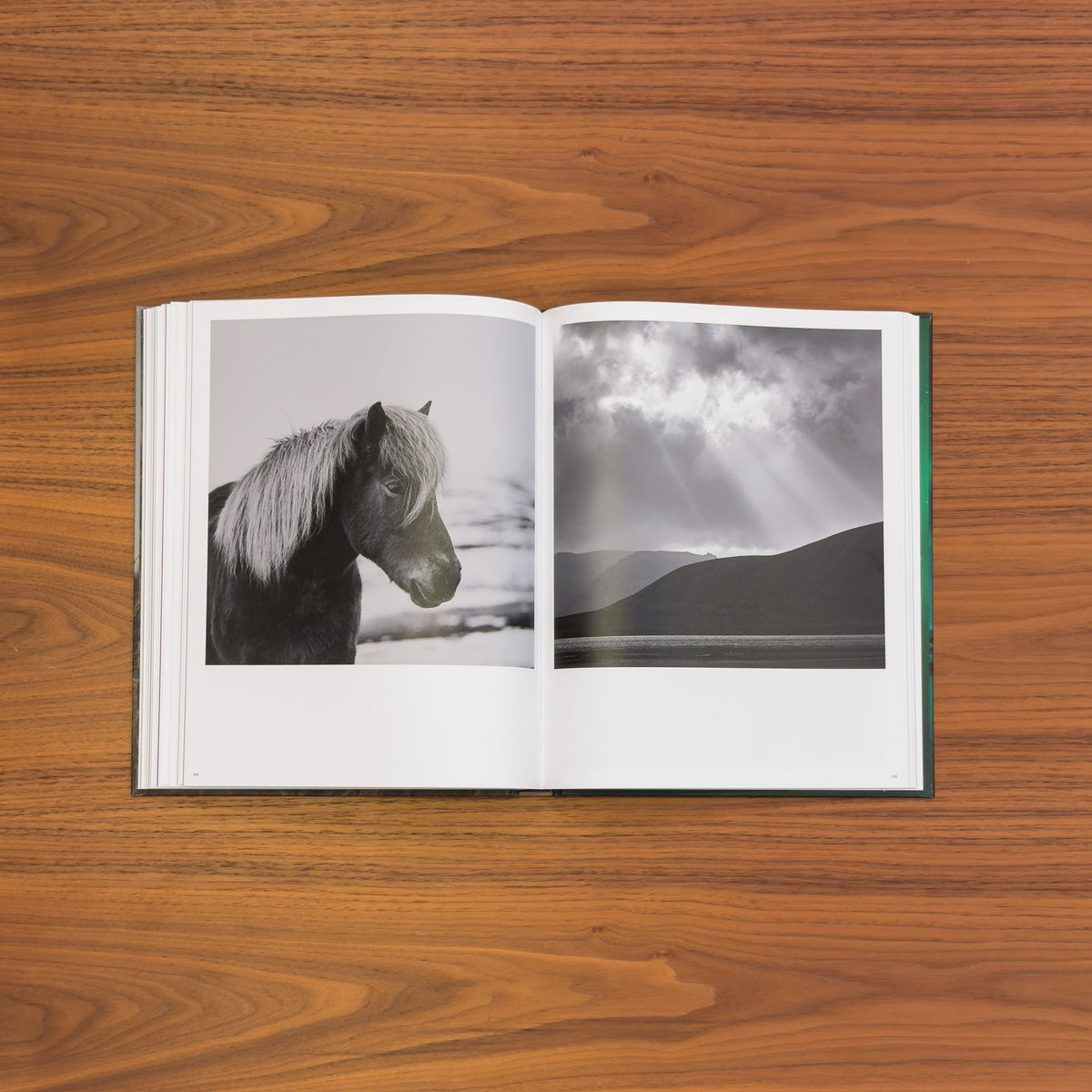 Open spread: black-and-white portrait of a pale-maned horse beside sunbeams breaking over a mountain and lake