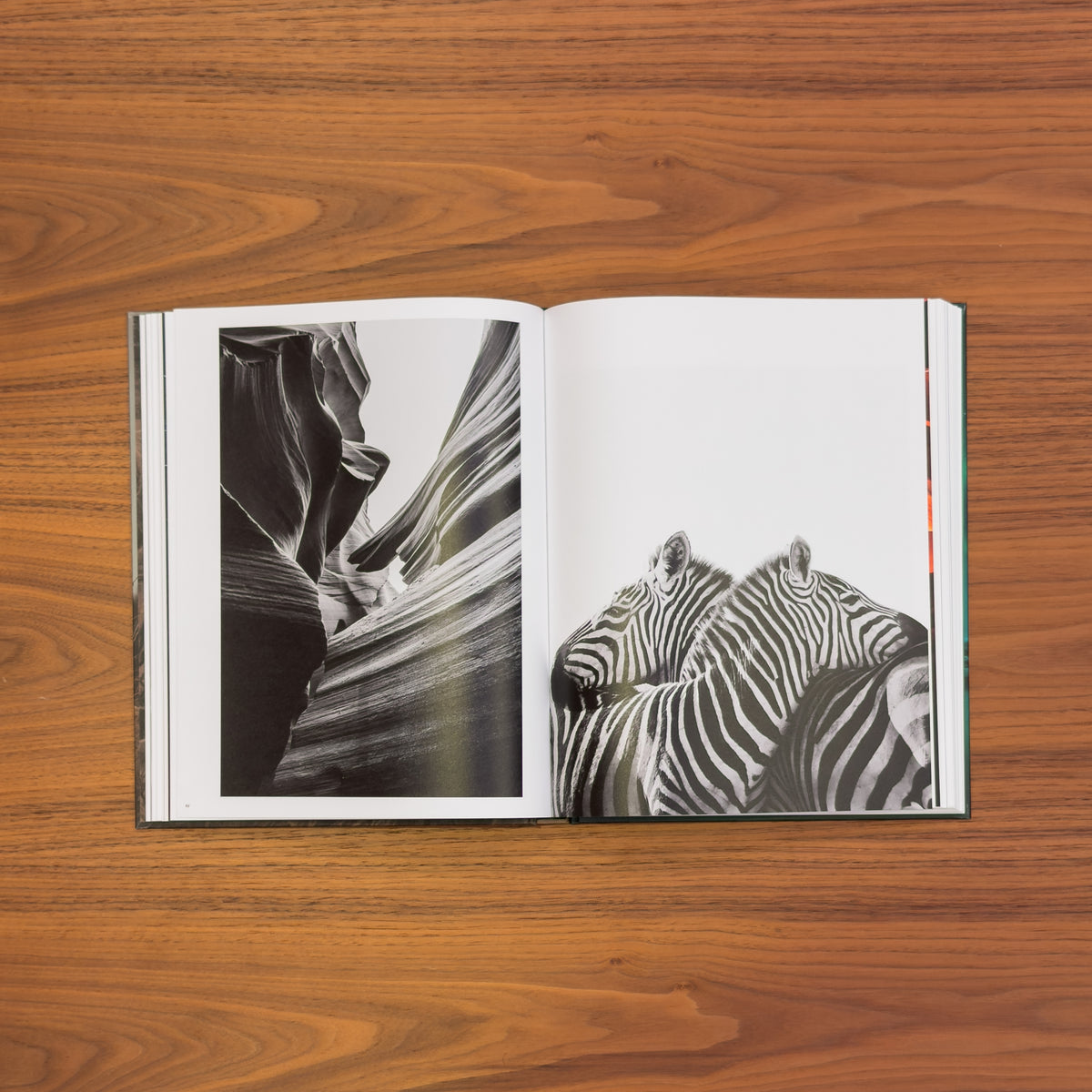 Open spread: a black-and-white slot canyon with sweeping sandstone walls beside two zebras pressed together