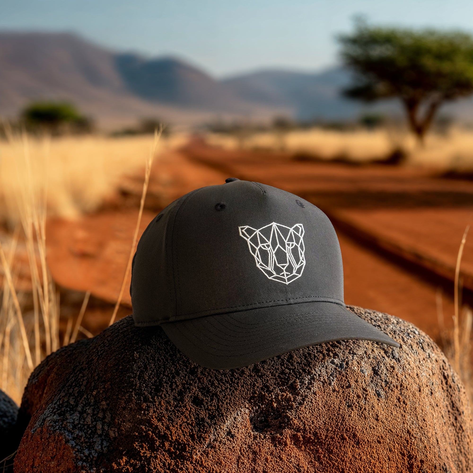 Black cap with a geometric animal logo on a rock in a desert landscape