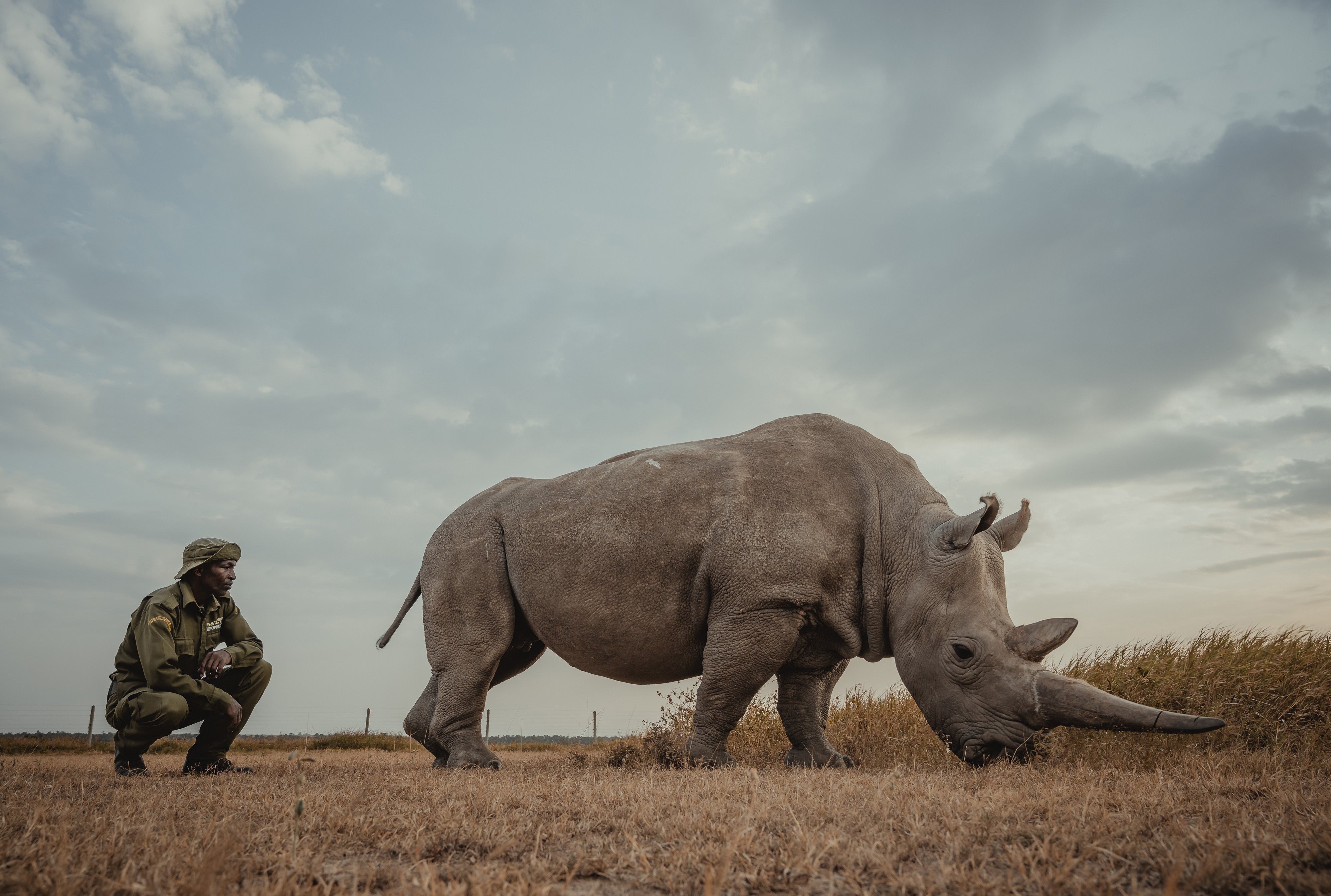Art-driven wildlife conservation milestone - Tembo Collection donates $15,000 to Ol Pejeta Conservancy for endangered species protection