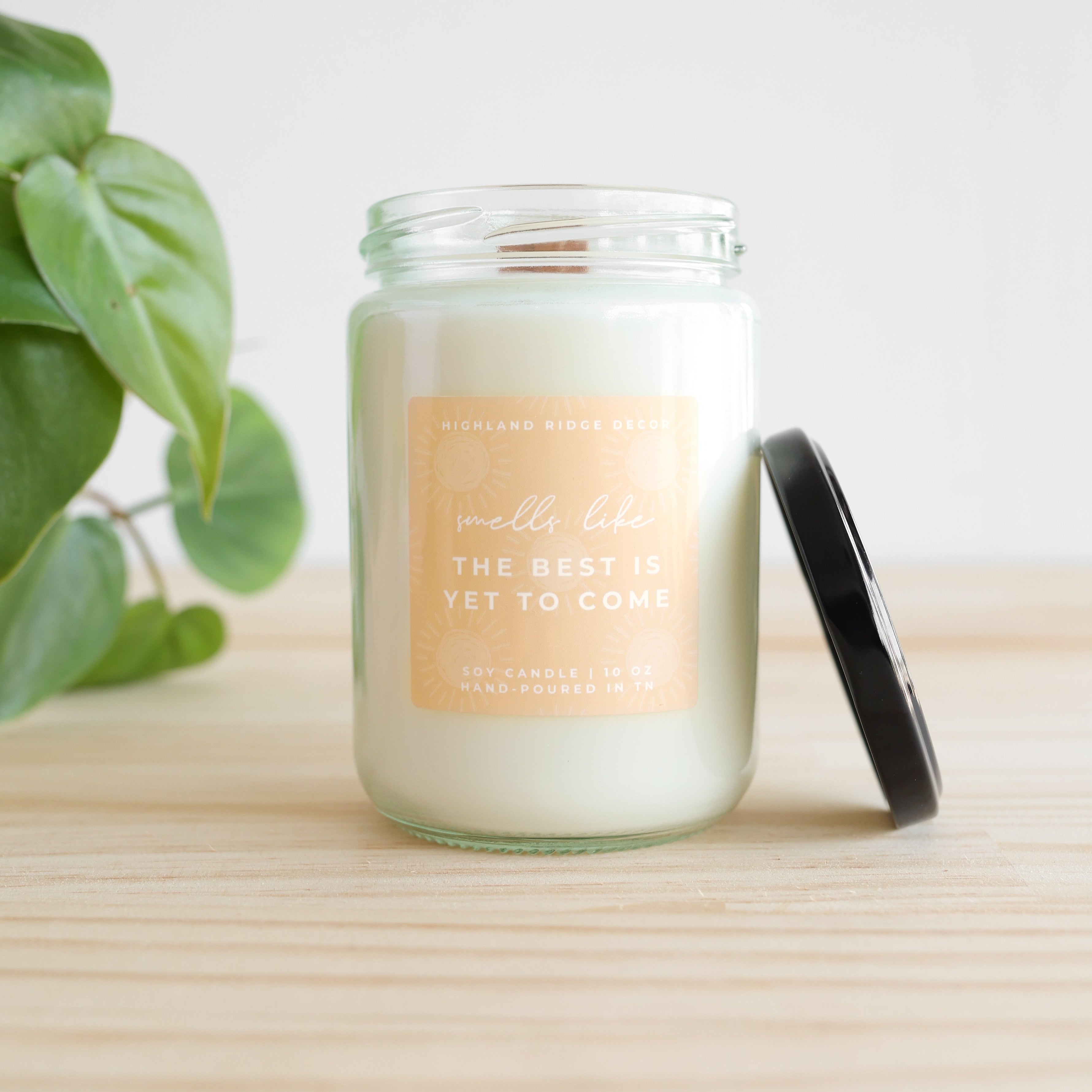 Candle in a glass jar with a black lid on a wooden surface, next to a green leafy plant.