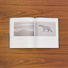 Open spread: black-and-white layered ice formations beside a polar bear walking across pale snow
