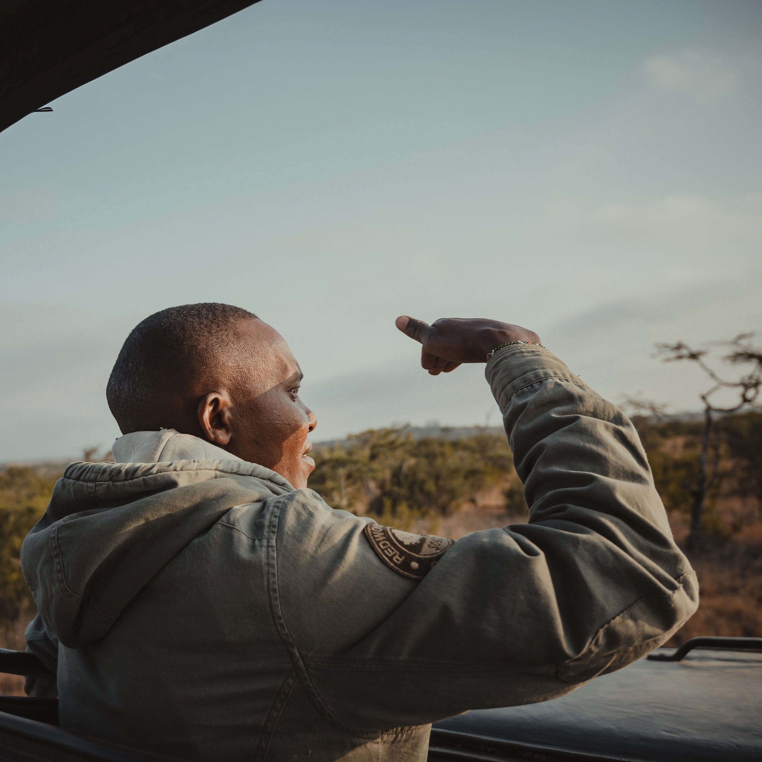 Viewer - Tembo