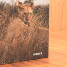 Close-up of the cover: a lion cub looking over an adult lion's back in tall grass, with the Hirmer logo