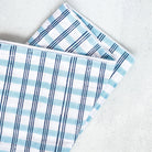 Two blue and white checkered towels on a light gray background